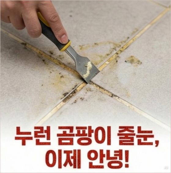 성북구안암동성신여대입구역사무실청소