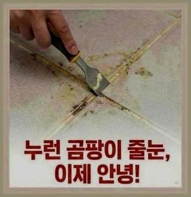 남양주시화도읍사무실청소